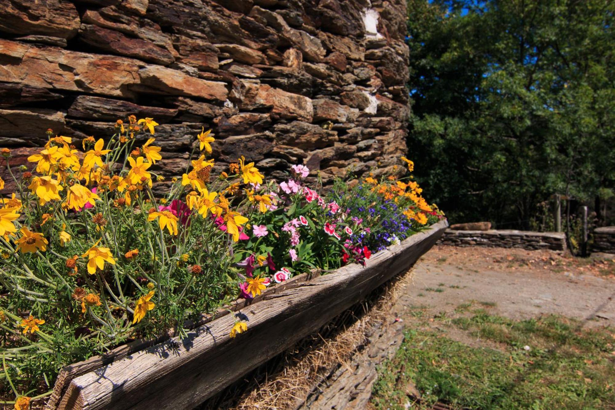 Gites des Esperelles Saint-Privat-de-Vallongue Habitación foto